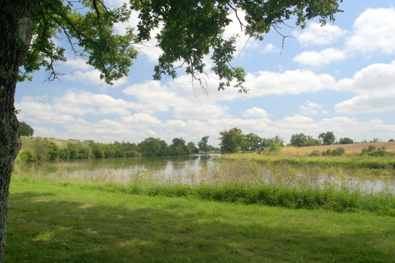 Étang Saint Denis d'Anjou